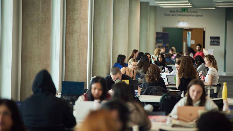 Students studying