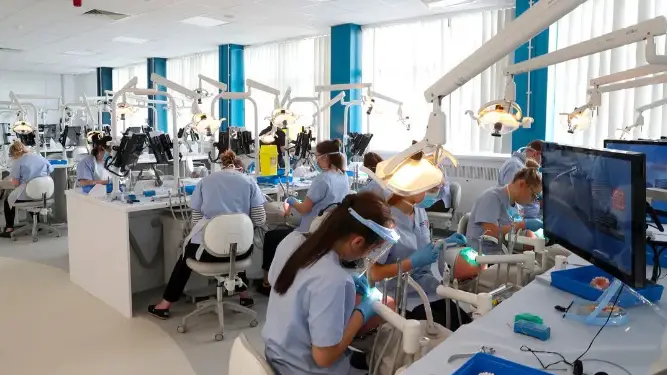 Dental therapy students