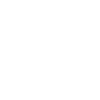 Money icon